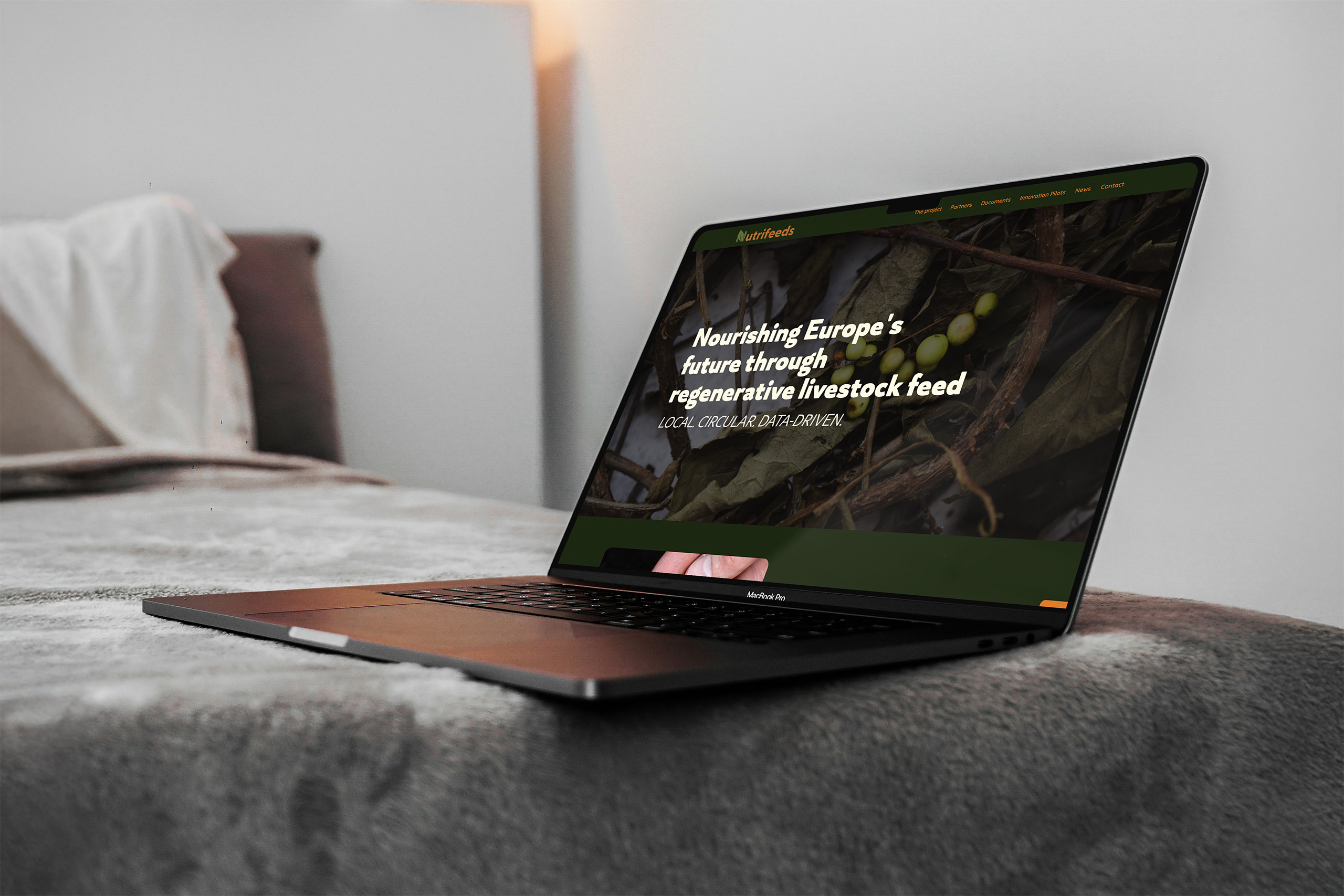 Diseño Web para Nutrifeeds