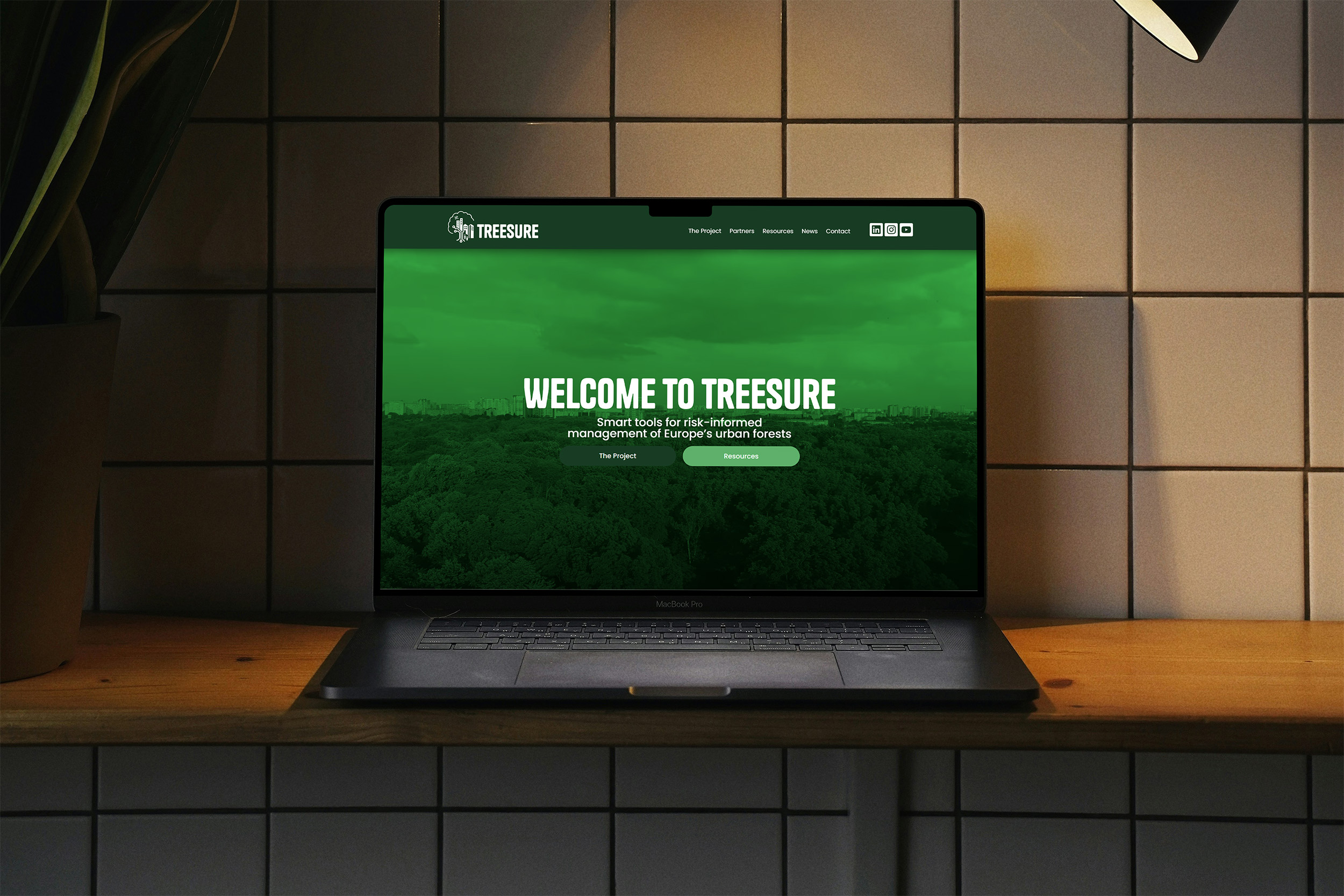 Diseño Web para Treesure