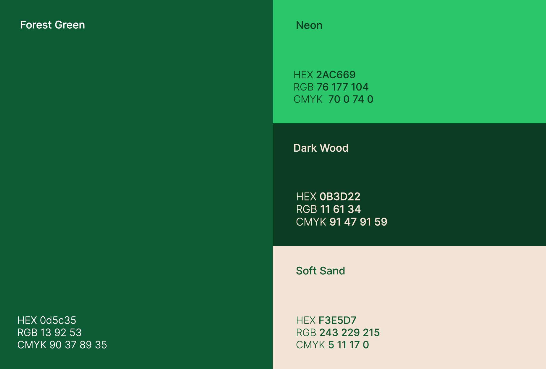 Paleta Cromática Radiance