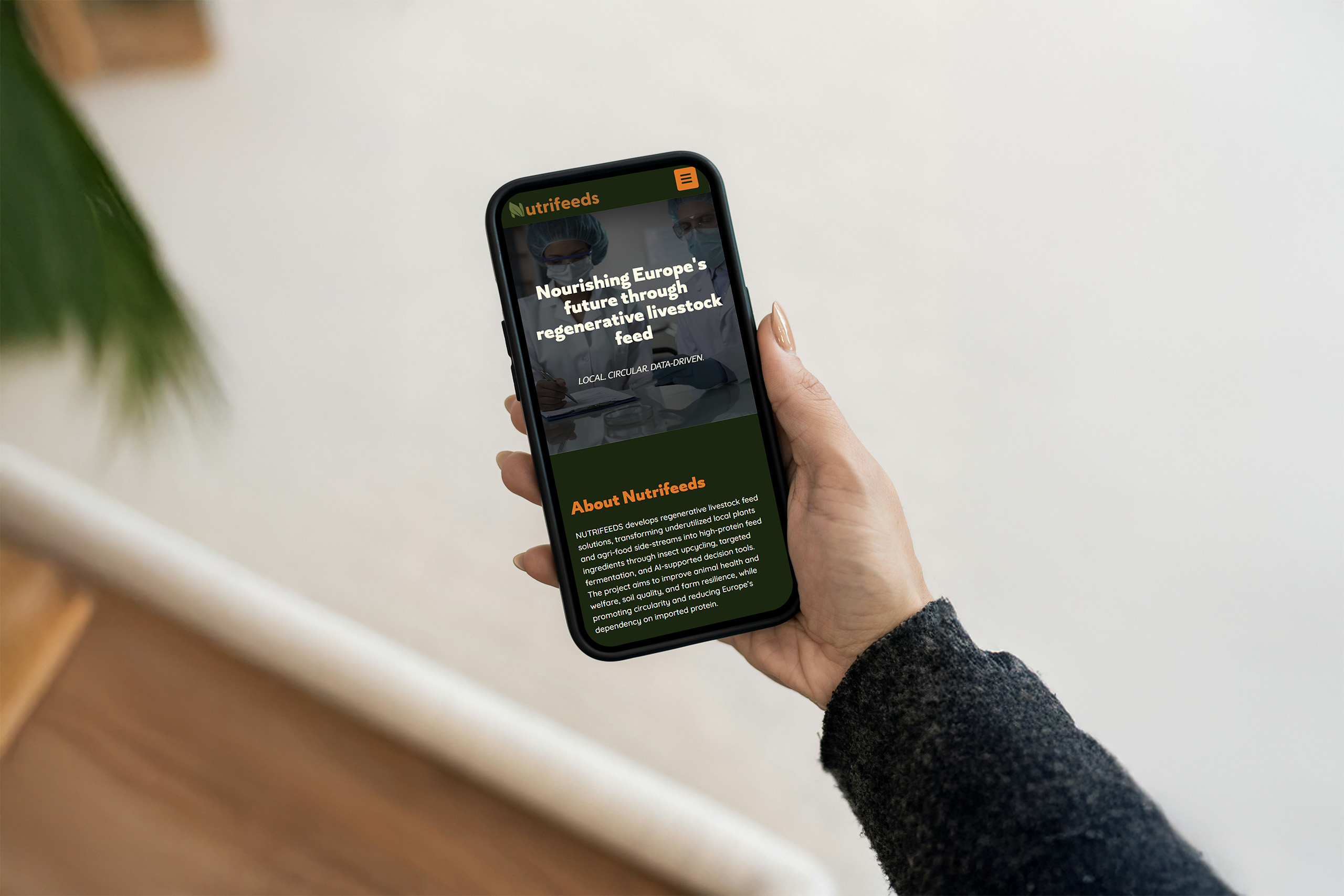 Diseño Web Responsive para Nutrifeeds